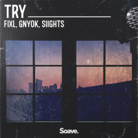Try (feat. SIIGHTS) (Single)