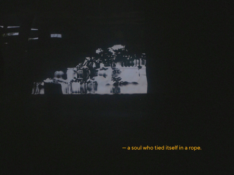 a soul who tied itself in a rope (Single)