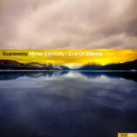 Mirror Ethnicity / End of Silence (Single)