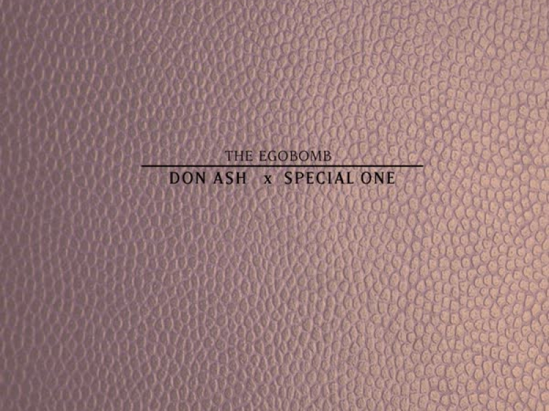 Don Ash X Special One (Single)