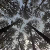 The Beginning (Single)