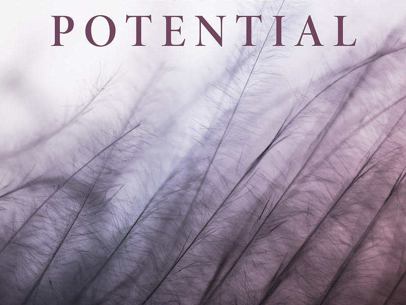 Potential (Single)
