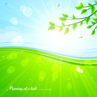 Morning of a lark (Single)