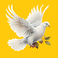 We Want Peace (Single)