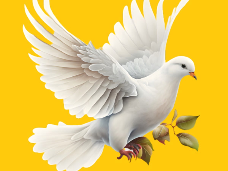 We Want Peace (Single)