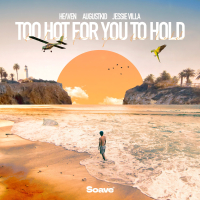Too Hot For You To Hold (Single)