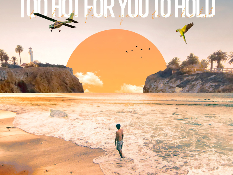Too Hot For You To Hold (Single)