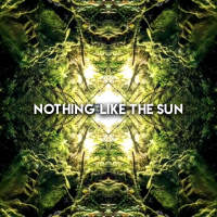 Nothing Like The Sun (Single)