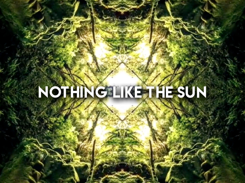 Nothing Like The Sun (Single)