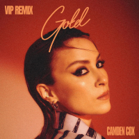 Gold (VIP Remix) (EP)