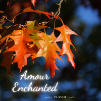 Amour Enchanted (Bossa Nova Collection) (EP)