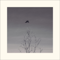 CORB (Radio Edit) (Single)