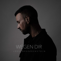 Wegen Dir (Single)