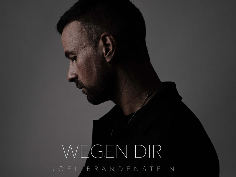 Wegen Dir (Single)