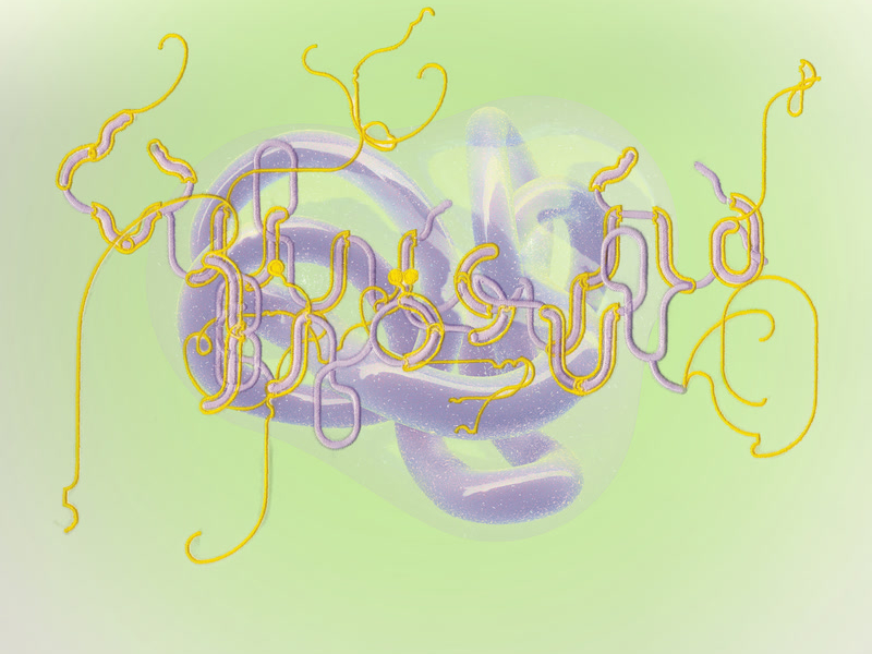 History of Touches (Single)