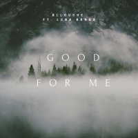 Good For Me (feat. Luna Bands) (Single)