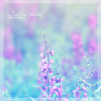 Sage Flower Petal (Single)