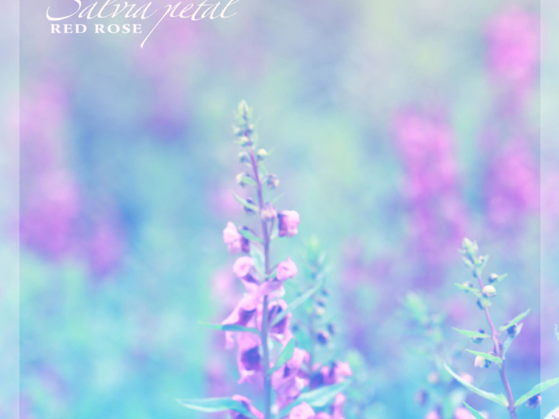 Sage Flower Petal (Single)