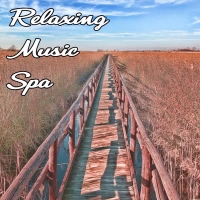 Relaxing Spa Music (Single)