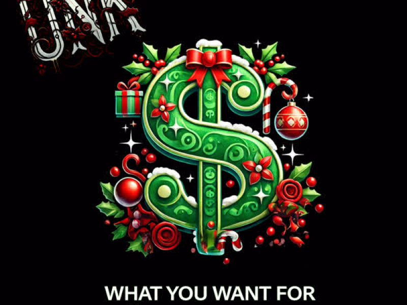What You Want For Christmas (Single)