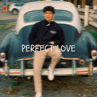 Perfect Love (Single)