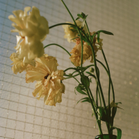 Bye For Now (Single)