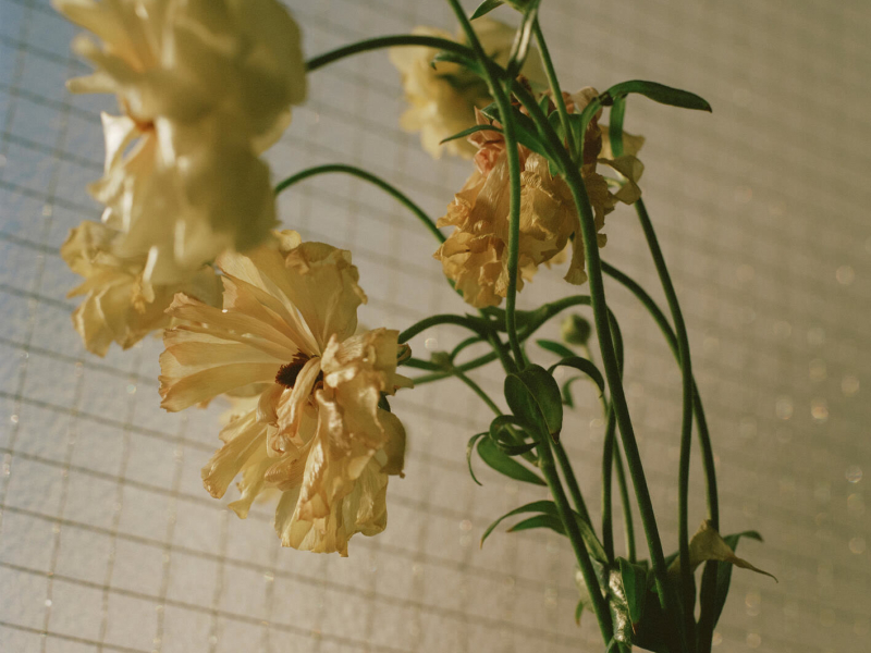 Bye For Now (Single)