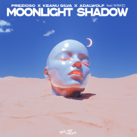 Moonlight Shadow (Single)