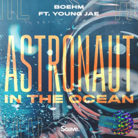 Astronaut In The Ocean (feat. Young Jae) (Single)