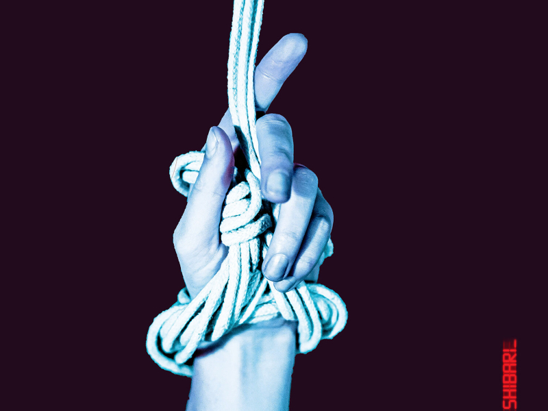 Shibari (Single)