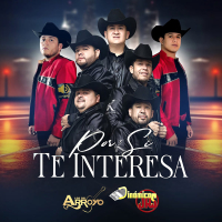 Por Si Te Interesa (Single)