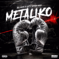 MetaliKo (Single)
