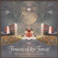 The Calling (Nils Olav Remix) (Single)