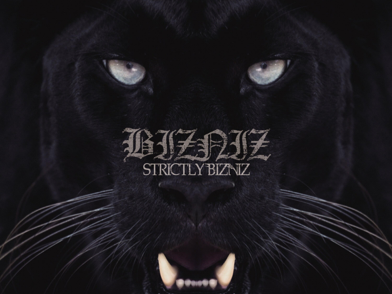 Strictly Bizniz