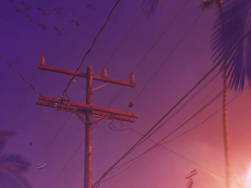 Palm Trees & Power Lines (Single)