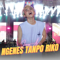 Ngenes Tanpo Riko (Live) (Single)