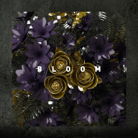 Bloom (Single)