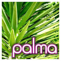 Palma (EP)