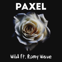 Wild (feat. Romy Wave) (Single)