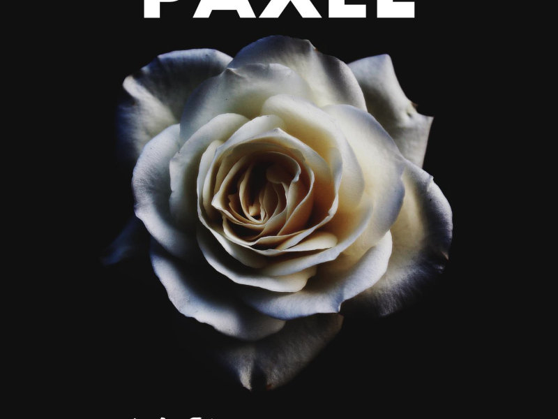 Wild (feat. Romy Wave) (Single)