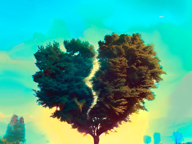 se eu te ligar (Single)