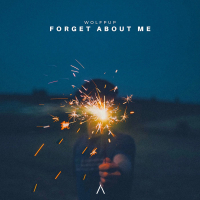 Forget About Me (Single)