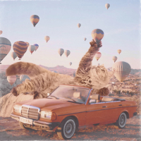 Learning To Fly (Single)