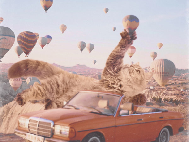 Learning To Fly (Single)