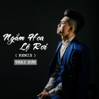 Ngắm Hoa Lệ Rơi (Remix) (Single)