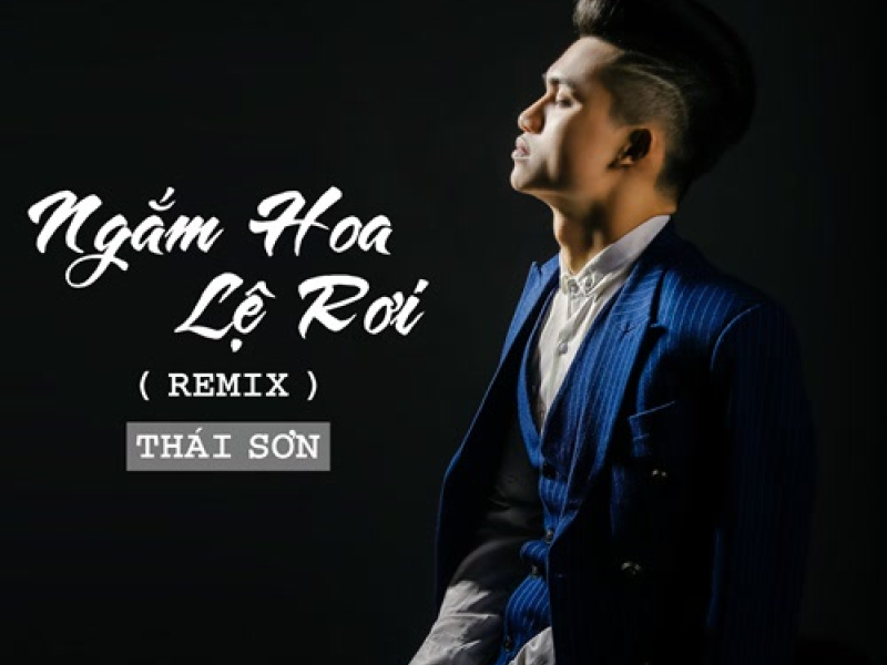 Ngắm Hoa Lệ Rơi (Remix) (Single)