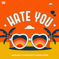 Hate You (Single)