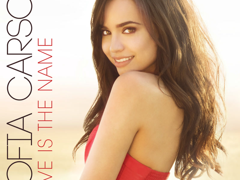 Love Is the Name (Single)