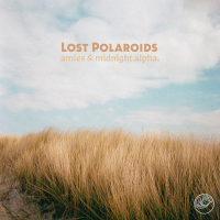 Lost Polaroids (Single)