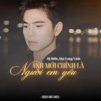 Anh Mới Chính Là Người Em Yêu (DJ Bibo Remix) (Single)